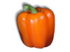 Captcha image 1592