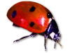 Captcha image 3475