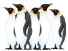 Captcha image 5641